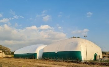 Pichini Sporting Club