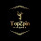 Topzpin