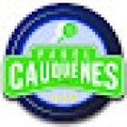 Club de Padel Cauquenes