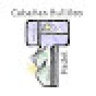 Cabañas Padel Bullileo