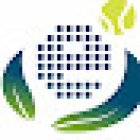 Eucaliptos Padel Club SSD