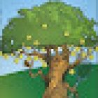 A.S.D. Jolly Club Mazara