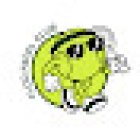 Floü Padel Club New City